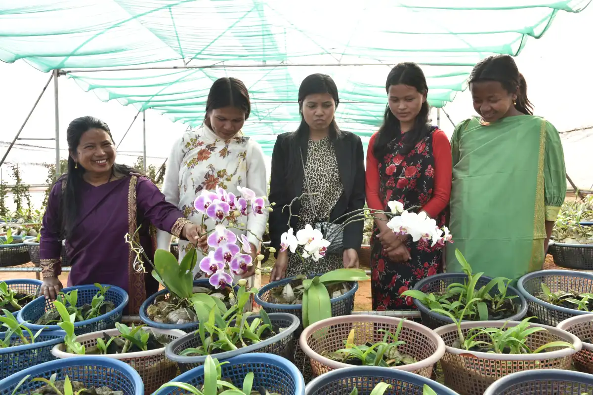 Orchid farm Experience
